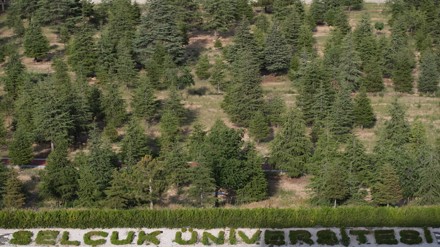 Selçuk Üniversitesi, dünyanın en yeşil 431’inci kampüsü