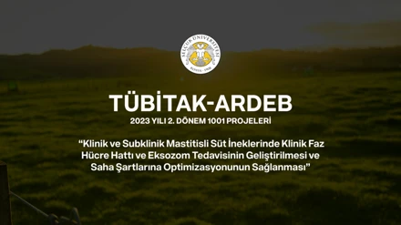 Doç. Dr. Ateş'in projesi, TÜBİTAK tarafından kabul edildi