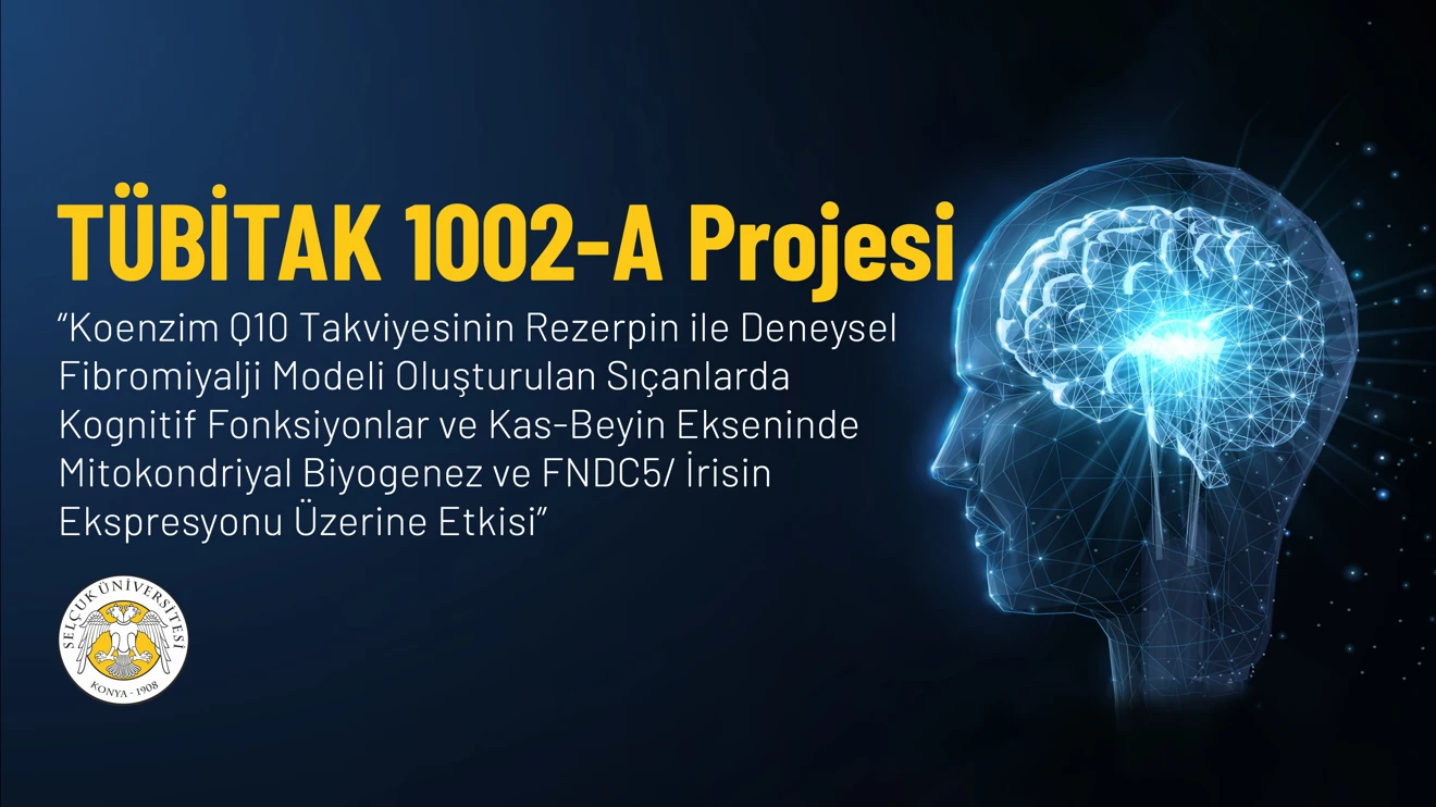 Prof. Dr. Muaz Belviranlı'nın TÜBİTAK projesi kabul edildi