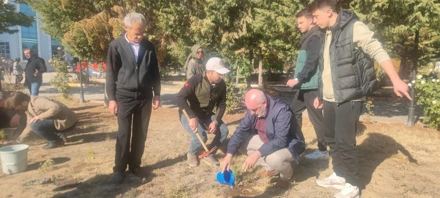 Milli Ağaçlandırma Günü Etkinliği