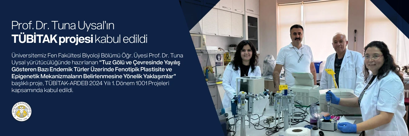 Prof.Dr.  Tuna UYSAL'ın TÜBİTAK Projesi