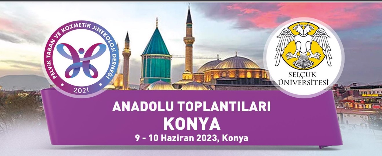 Anadolu Toplantıları